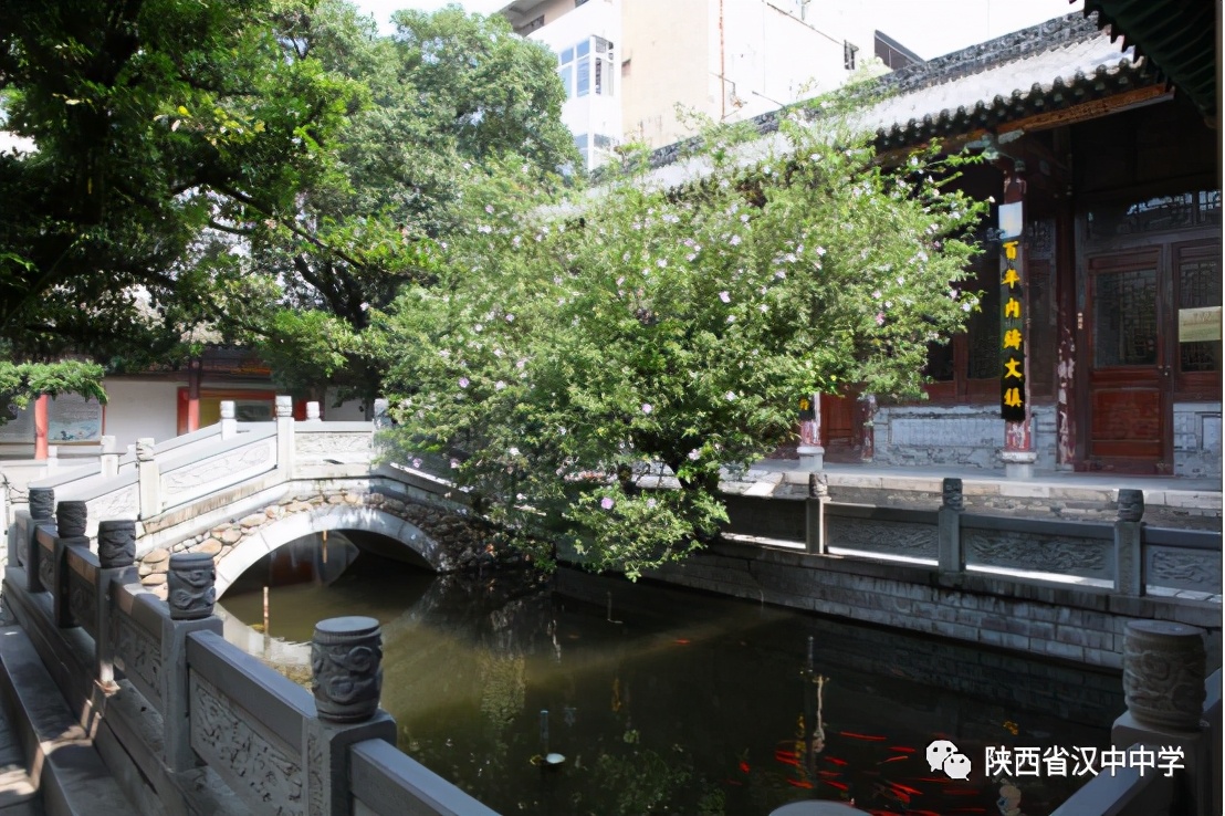 2023汉中中学招生标准,2022汉中中学招生简章