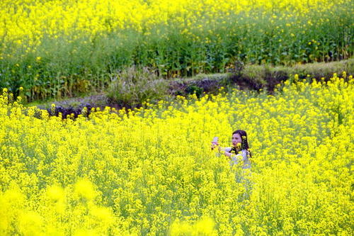 吴氏家谱字辈大全江西省南昌市,贵州吴氏字辈有吉字辈吗