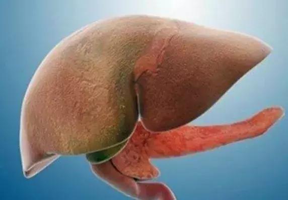 脂肪肝一般按哪个穴位最好,脂肪肝的人可以按脚部哪个穴位