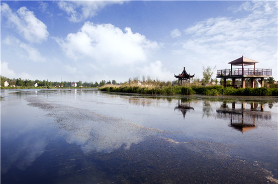 这里的情趣内衣，制作者是当地农村大妈，20秒做一条丁字裤挣一毛