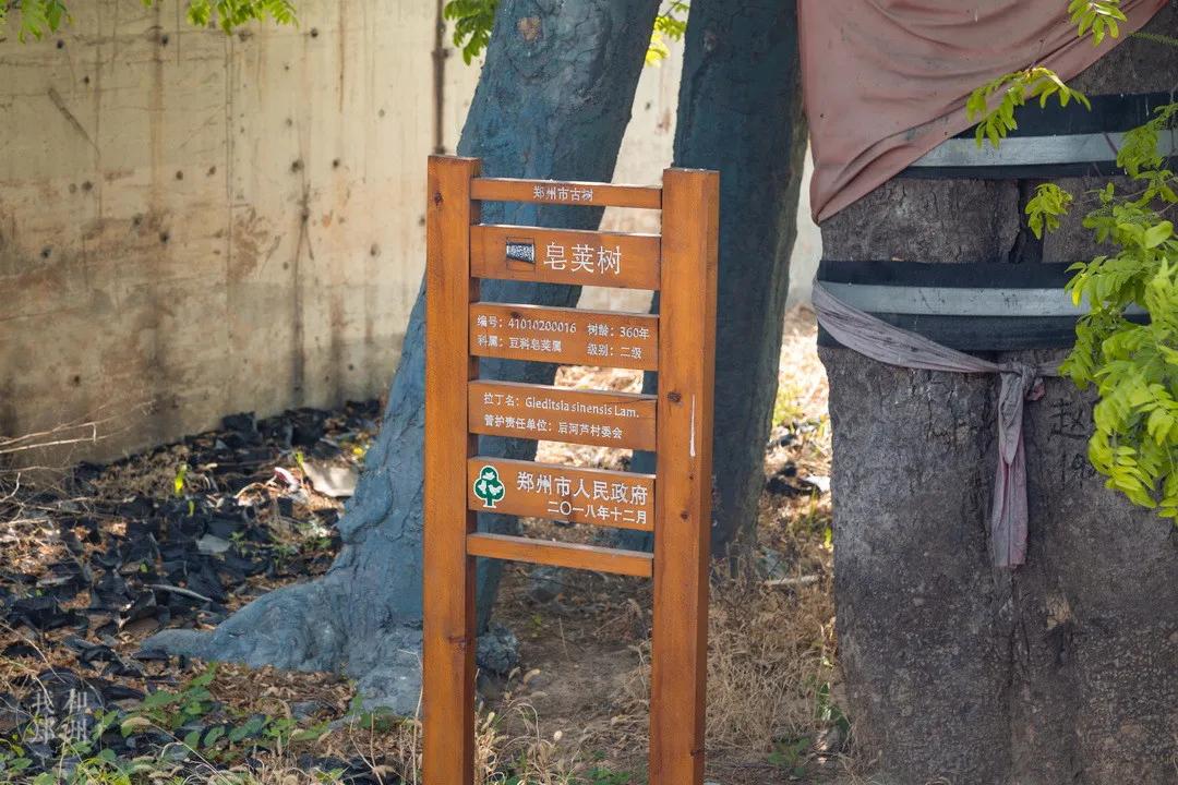今天，带郑州的老铁们逛吃后河芦