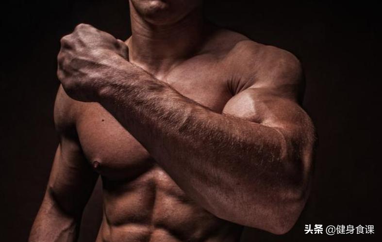 阿诺：练到力竭才有效！研究发现力竭不利肌肉生长！谁才是对的？
