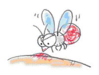 o型血是不是蚊子最喜欢吃的,蚊子是不是喜欢o型血的人