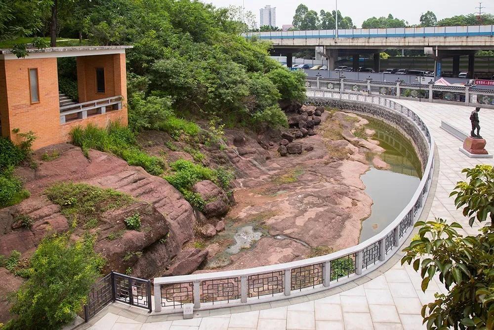 广州吃海鲜最便宜的地方2018年,广州的海鲜哪里又新鲜又便宜