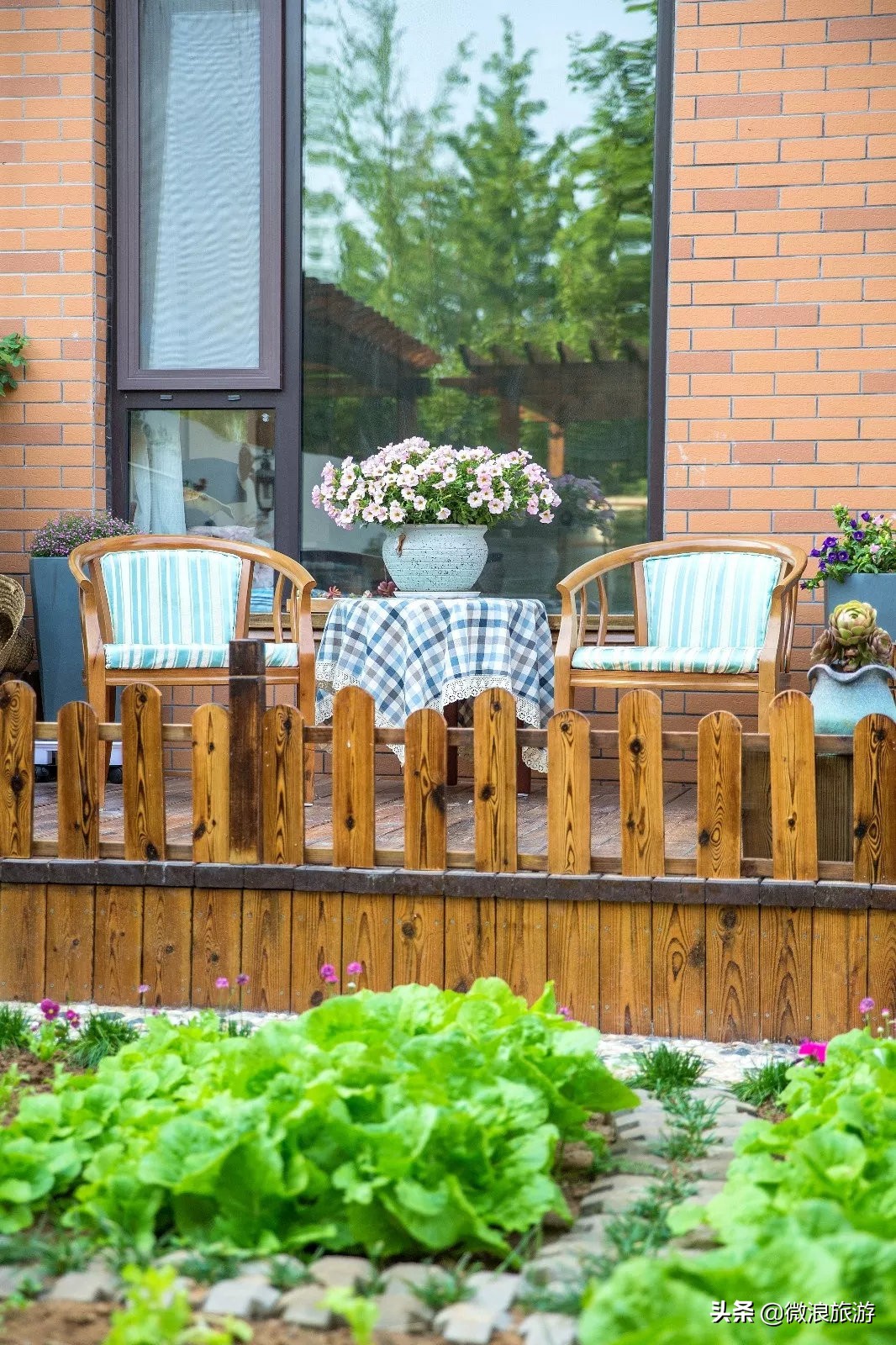 白鹭湾的“选美大赛”，谁是你心中最美的“姑娘”