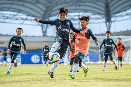 《解析中国足球青训现状及问题》,全面解析中国足球青训体系的养成