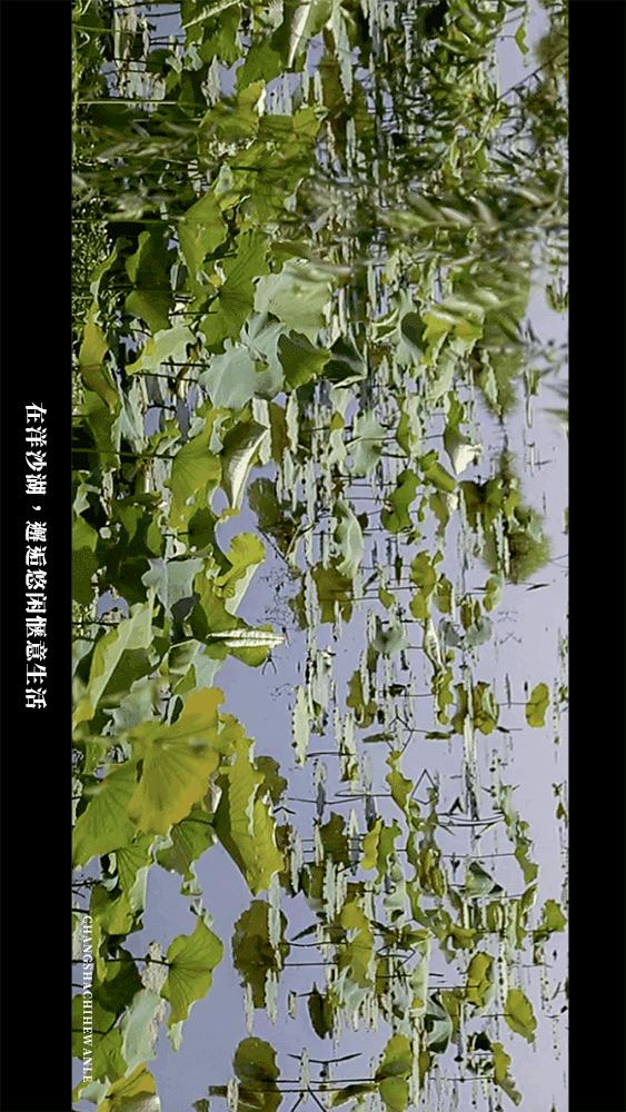 田园低空飞行,田园采摘之旅