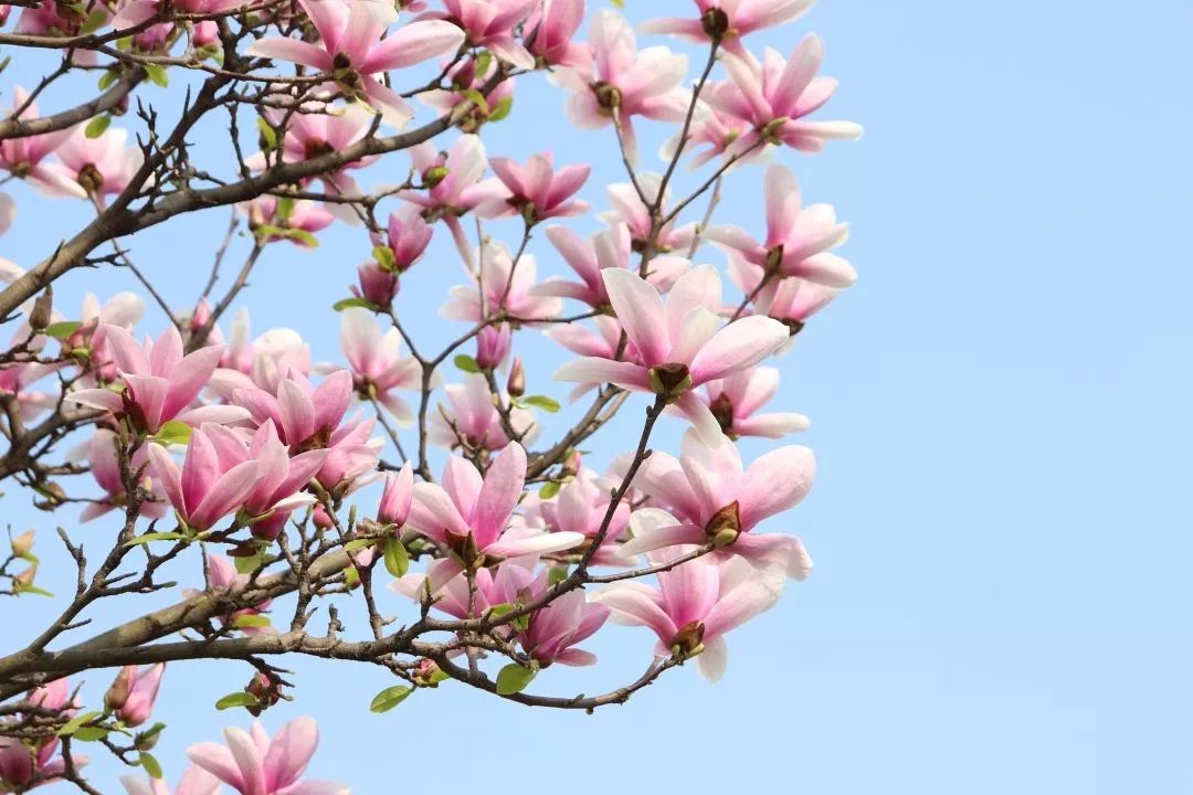 今天我以湖经为荣,明天湖经以我为傲