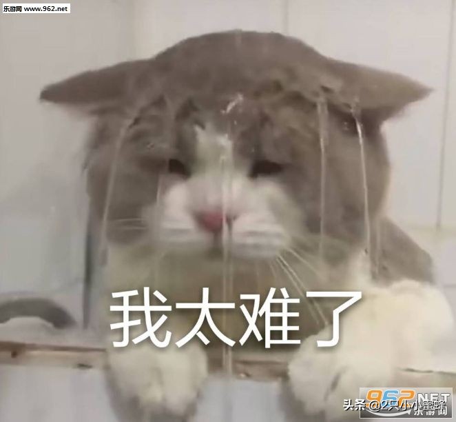 讯景r93804g,讯景r9280x显卡