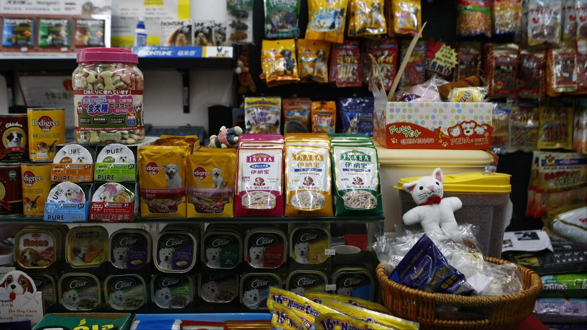 如何正确的选择宠物店,如何选择正规的宠物店