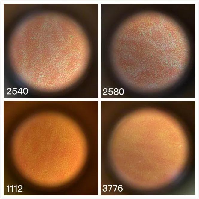 百元家用打印机,百元价位打印机家用推荐