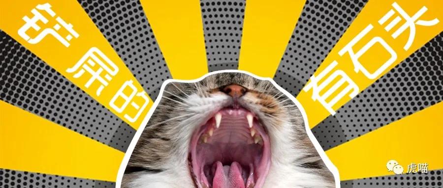 猫粮推荐真实测评不臭,劣质猫粮测评