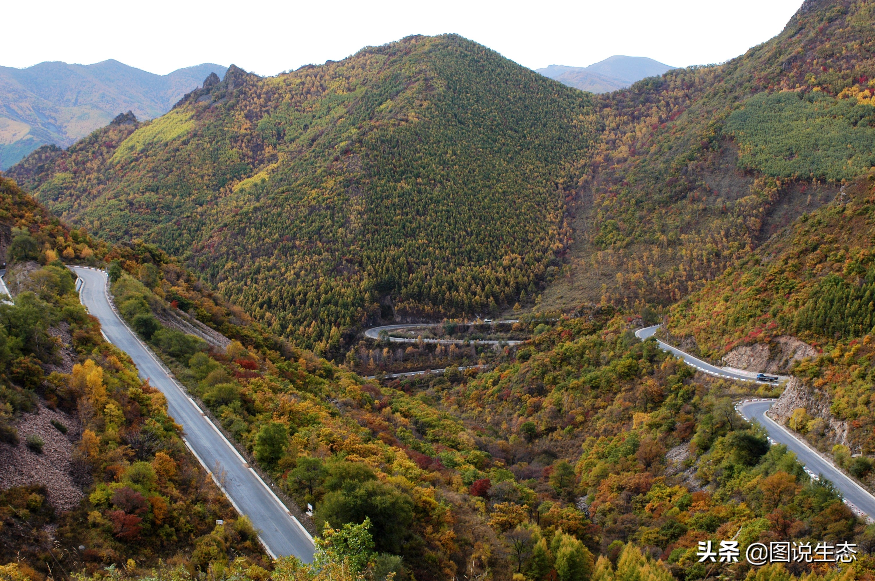 20年风雨治沙路，绿水青山秀丰宁