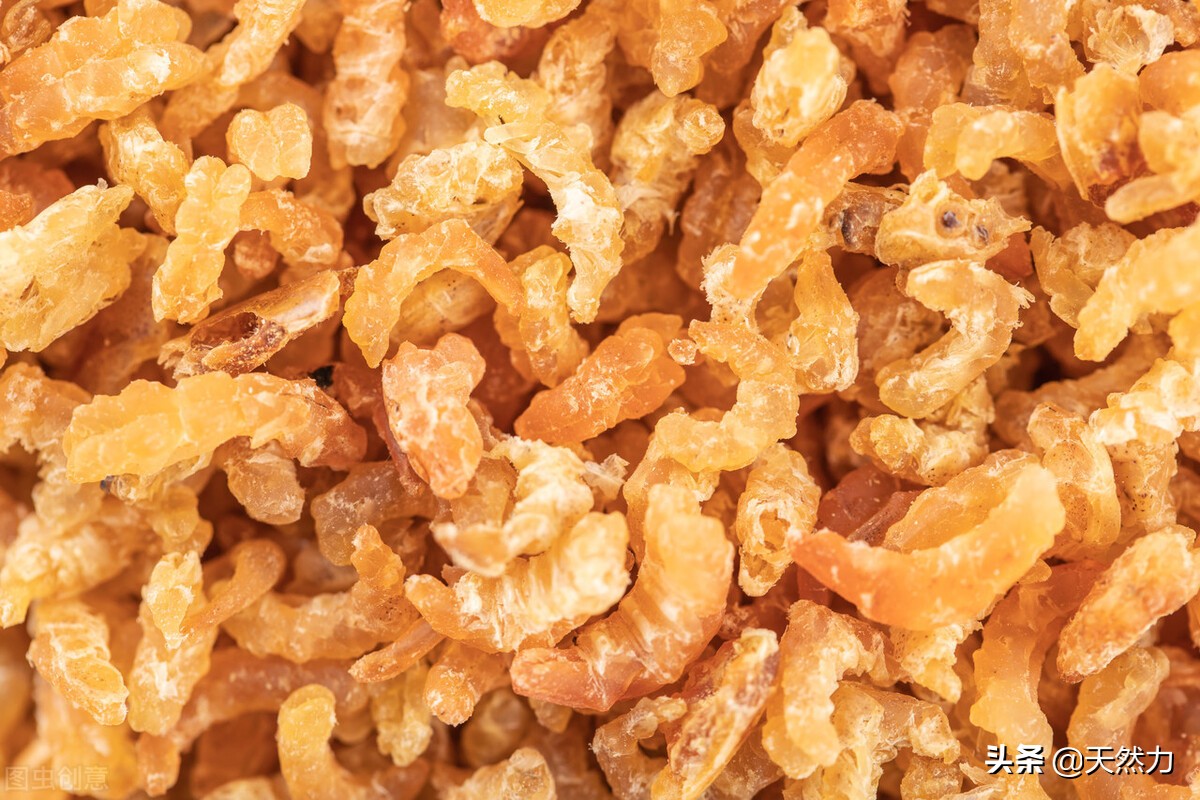 虾仁怎么泡开,注意水的温度和泡发的时间,鲜香之味自然来