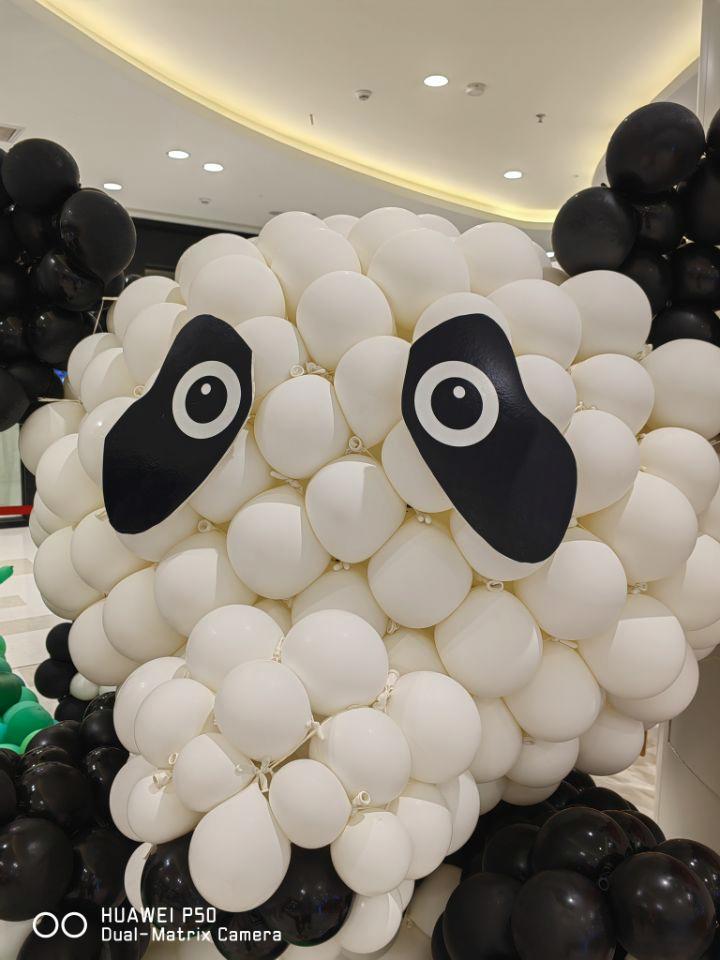 华为p50pro鸿蒙版评测,华为p50pocket鸿蒙