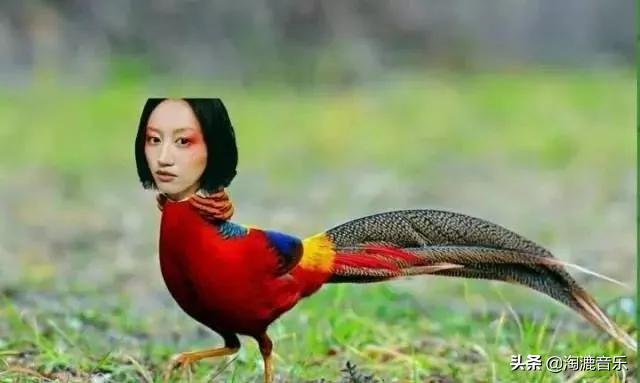 陈粒怎么变这么胖了 (陈粒的现状)