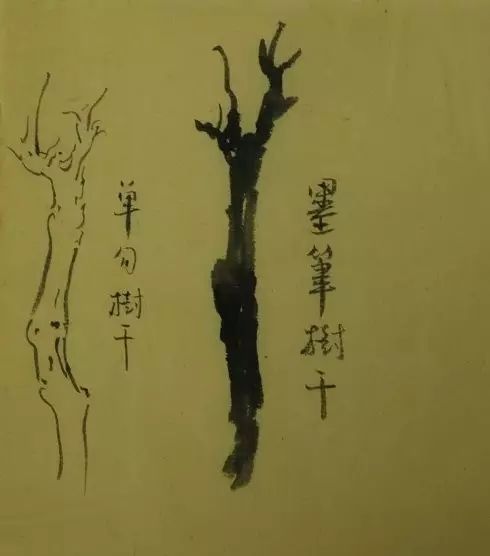 树的基本画法视频,树的素描画法