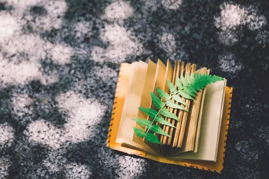 强迫症的不安反而是治愈的良药,强迫症反反复复纠结一件事