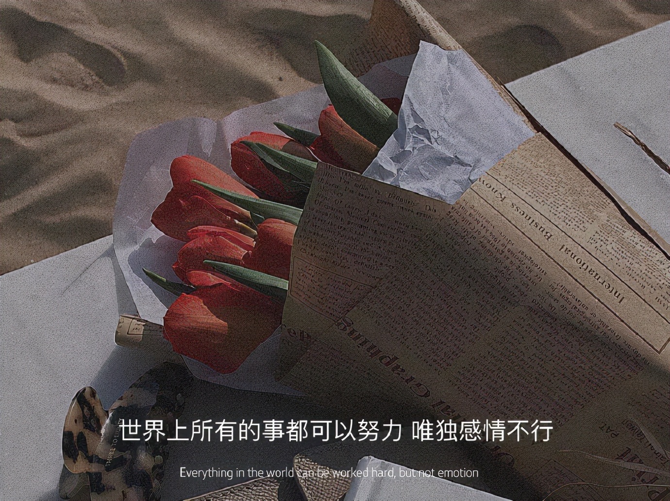 下次见你谈笑风生不动情繁体字,下次见你谈笑风生不动情