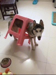 学会这招不愁找不到女朋友,学会这几招不怕找不到女朋友