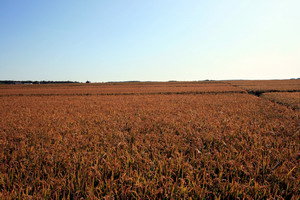 在那遥远的东方歌曲,抚远东方第一哨旅游攻略