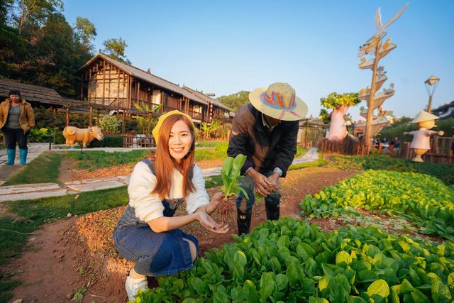 深圳民国风打卡景点,深圳安静的旅游小镇