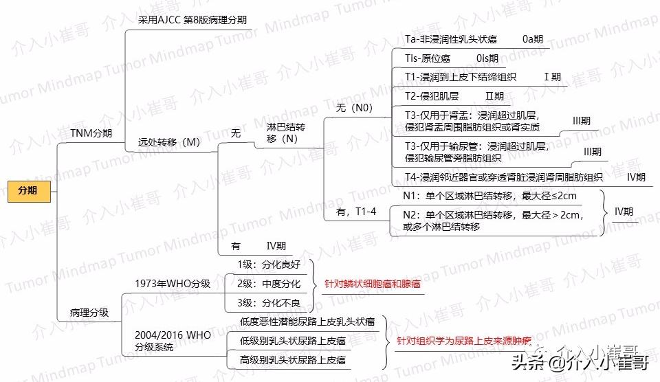 肿瘤护理思维导图,肿瘤免疫思维导图