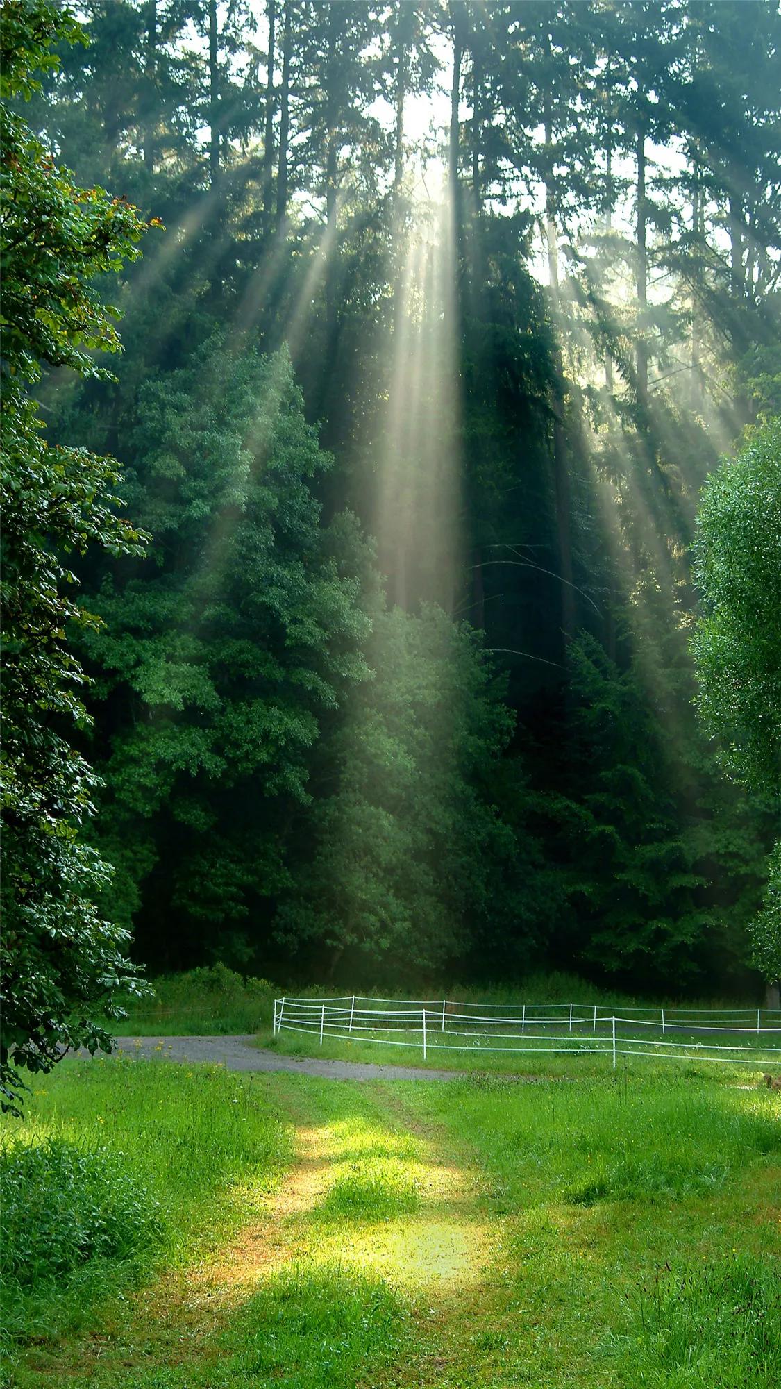 辟谷减肥打卡第1天,清水辟谷减肥打卡攻略