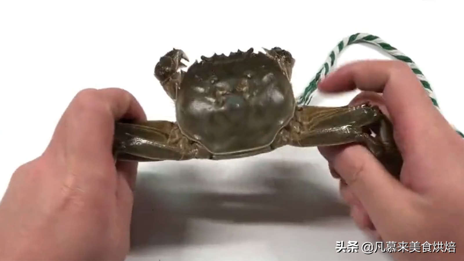 正确的螃蟹绑法,绑螃蟹技巧教学