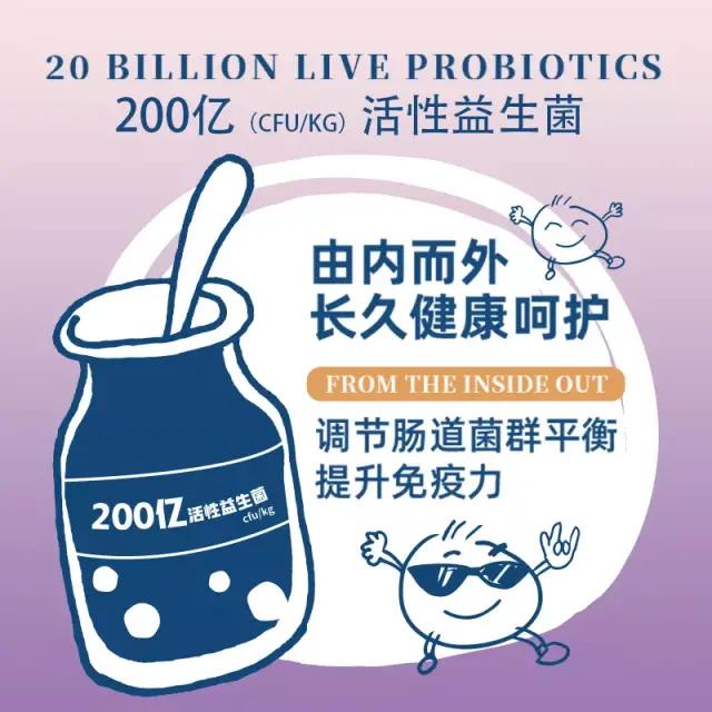 养狗需要学什么知识,养狗新手入门必知博美狗粮