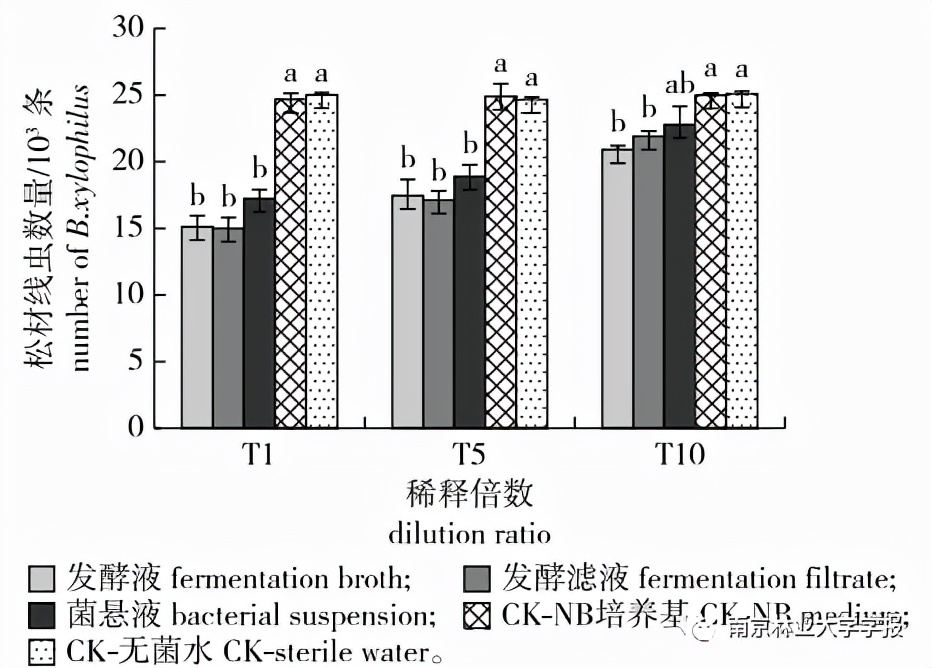 芽孢杆菌鉴定及菌株功能研究,蜡样芽孢杆菌标准菌株验证
