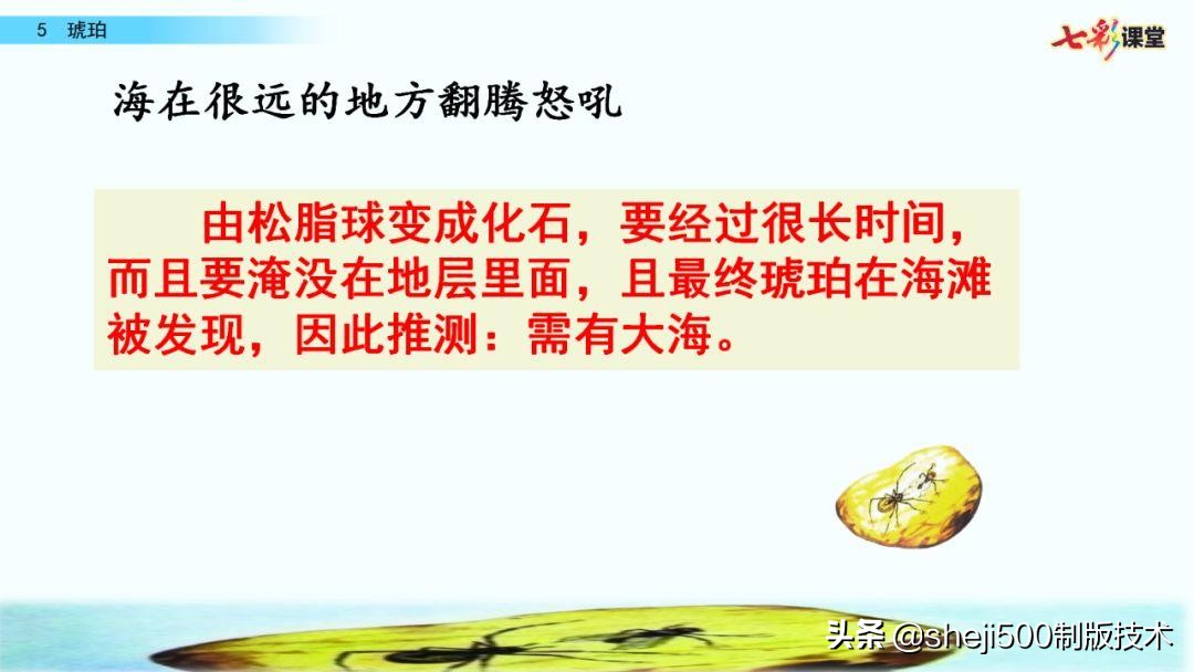 四年级语文下册第5课琥珀知识点,语文书四年级下册琥珀预习分段