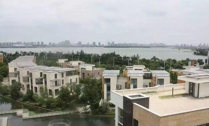 「都挺好」姚晨到底多有钱？我算出来了