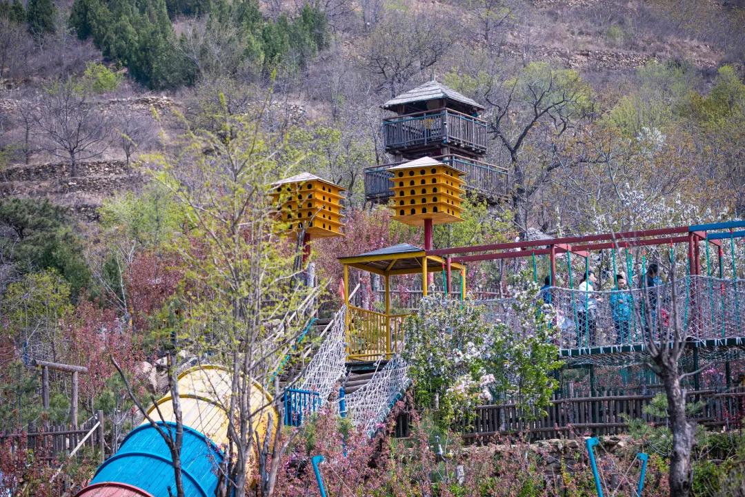 亲子游玩好去处欢乐果亲子农场,快乐六一亲子游农场游玩攻略来袭