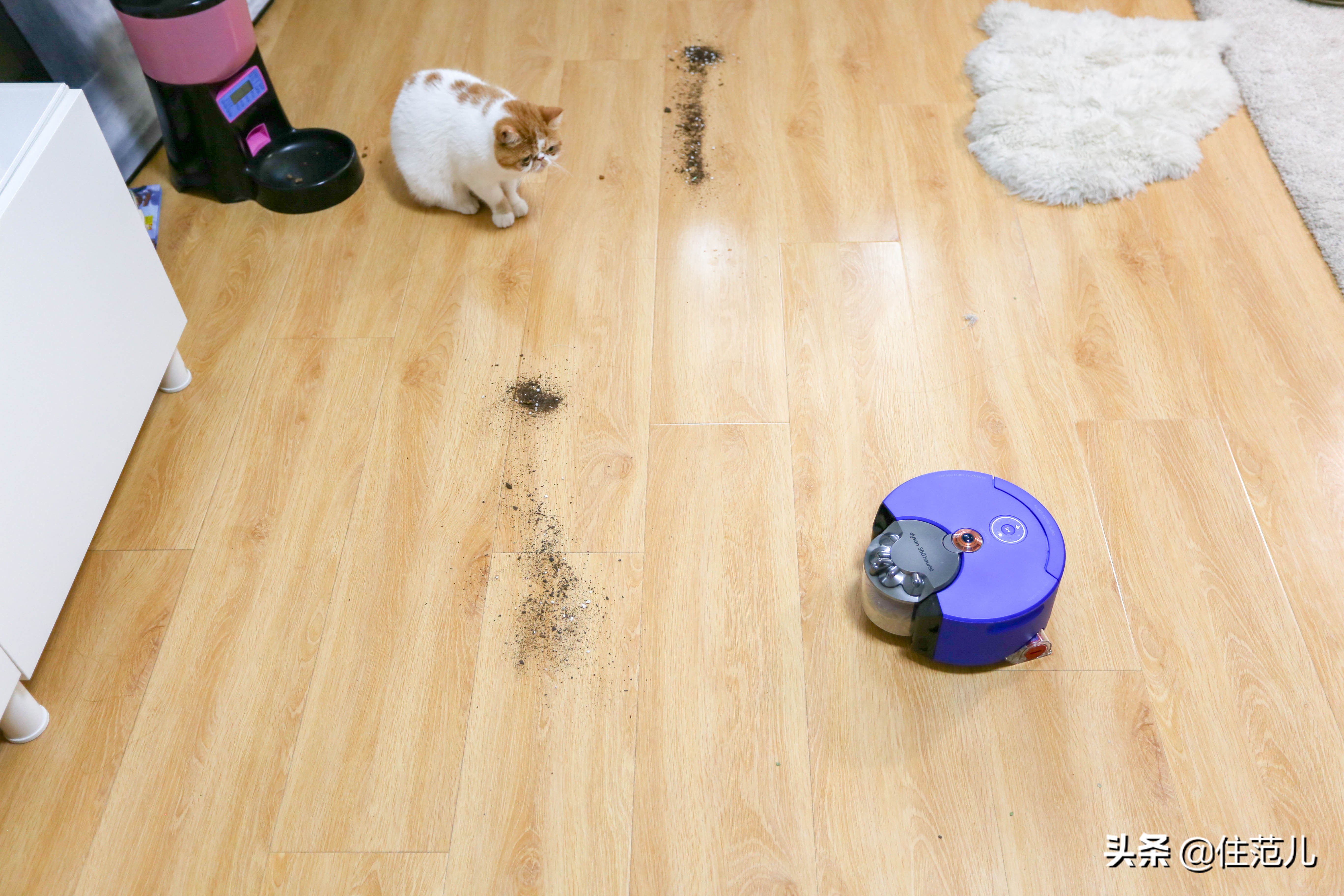 网红爆款戴森吹风机,戴森真的有用吗