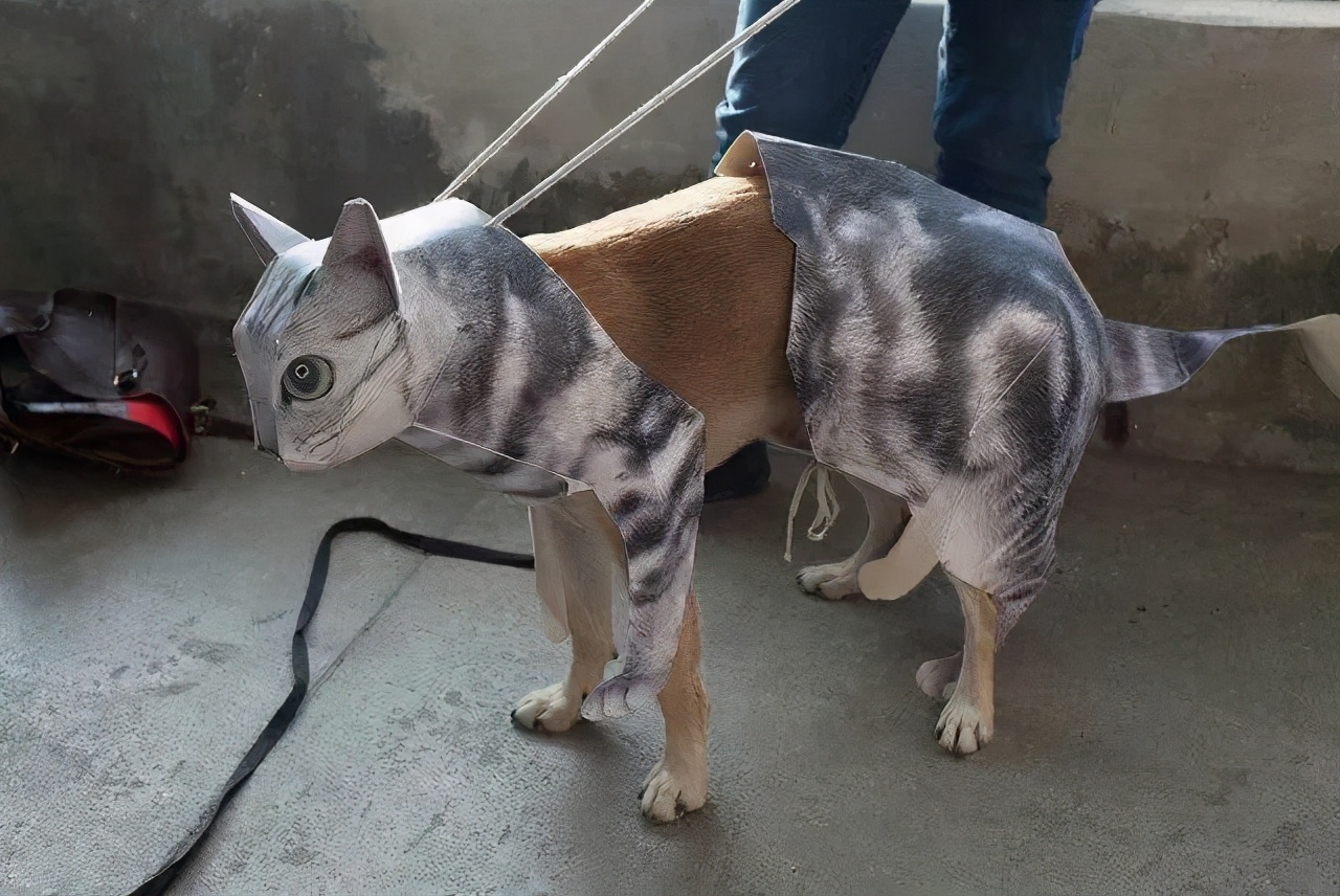 搞笑的冷笑话最好能笑死,非常搞笑的冷笑话大全