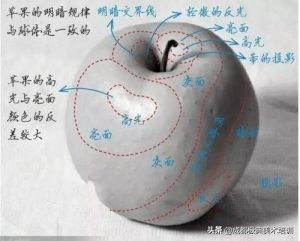 学动漫绘画基础入门,平板学绘画入门教程