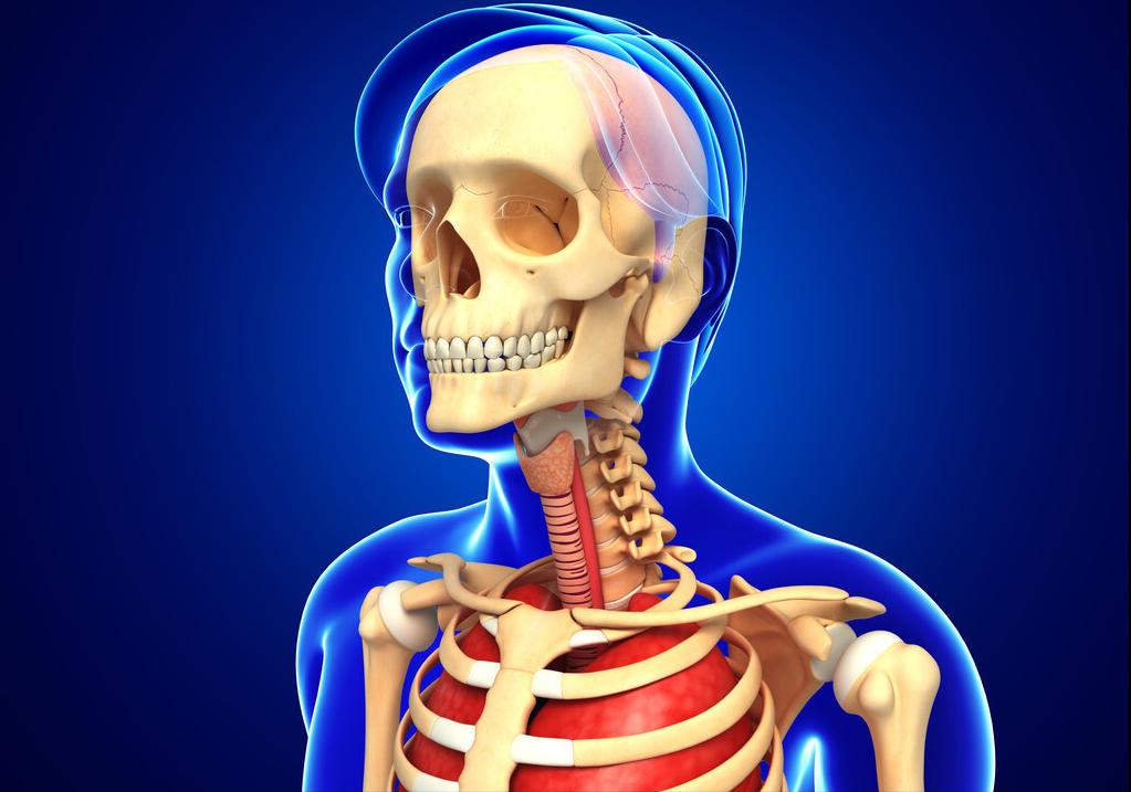 麦门冬汤治疗咳嗽黄痰,麦门冬汤治疗支气管炎咳嗽咳黄痰