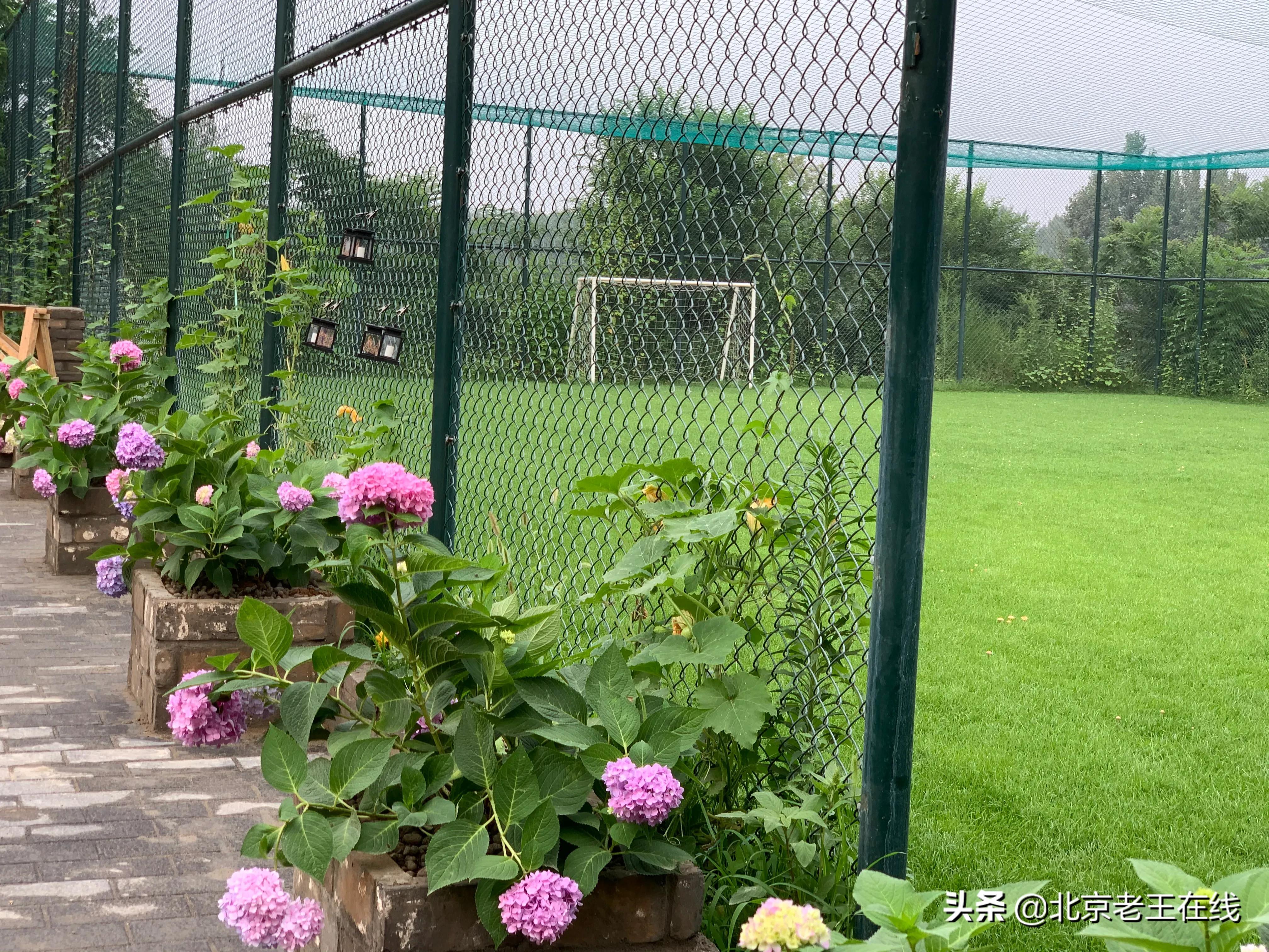 密云深山有什么好玩的地方,密云野游的好地方