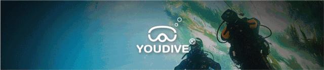 鲨鱼身体，猪猪的脸？意大利船员，打捞到了一只猪脸鲨鱼...