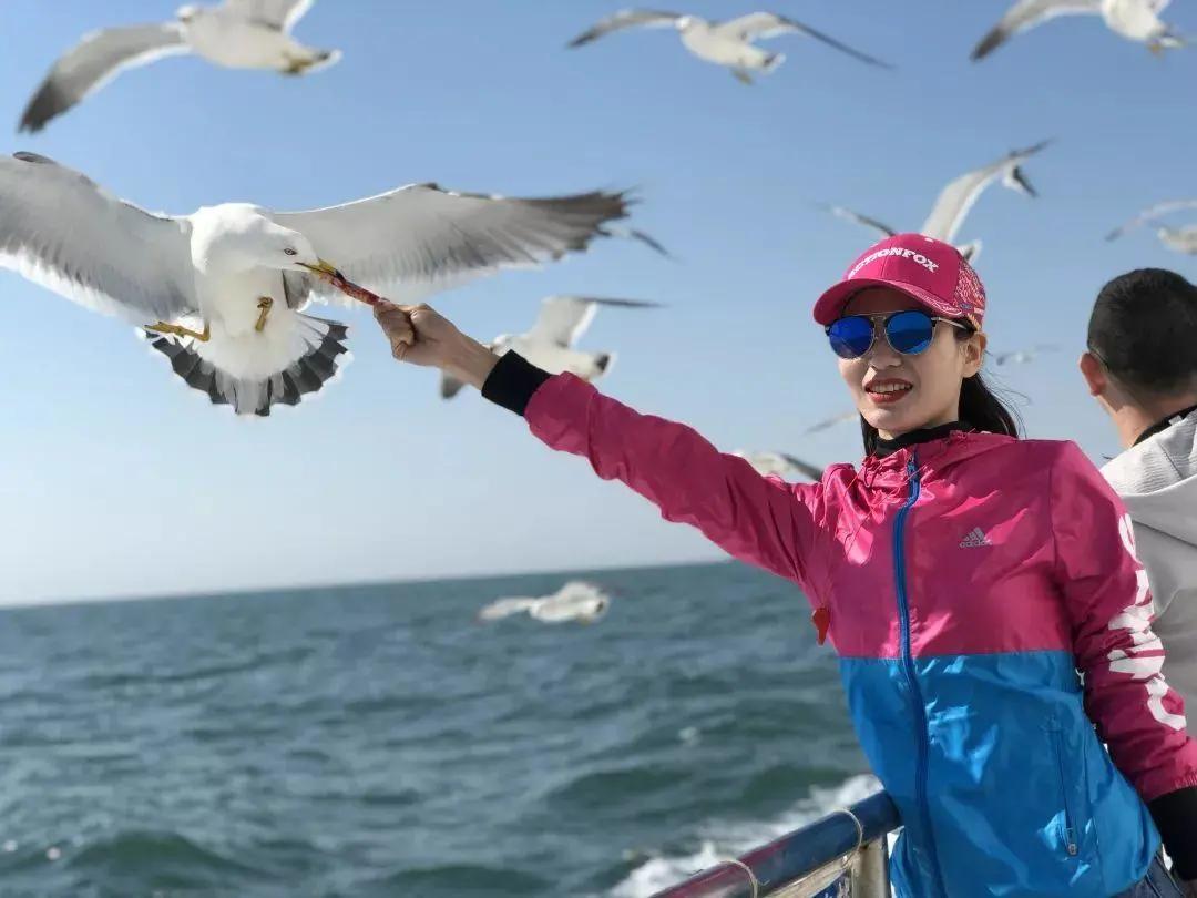 烟台海岛一日游有哪些推荐,烟台海岛渔村旅游攻略