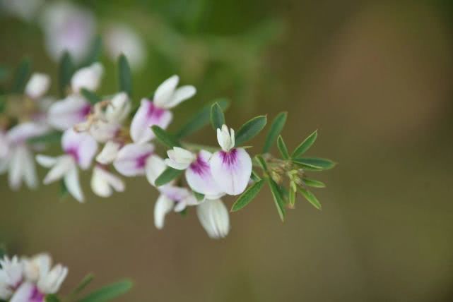 丽媚儿私护品牌创始人,丽媚儿早期视频