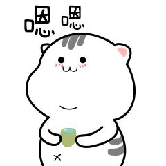 厦门高层次海外留学人员,厦门留学人员工作证办理条件