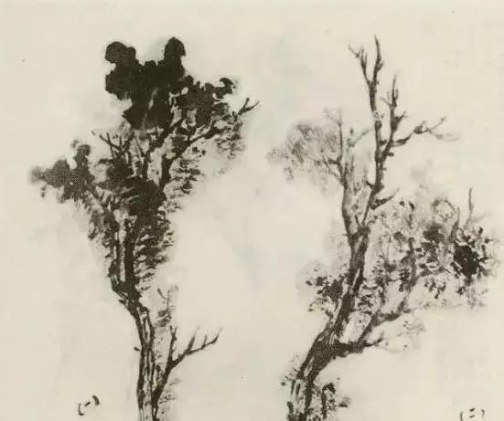 怎么画树最简单而且还最好看,怎么画树才更真实