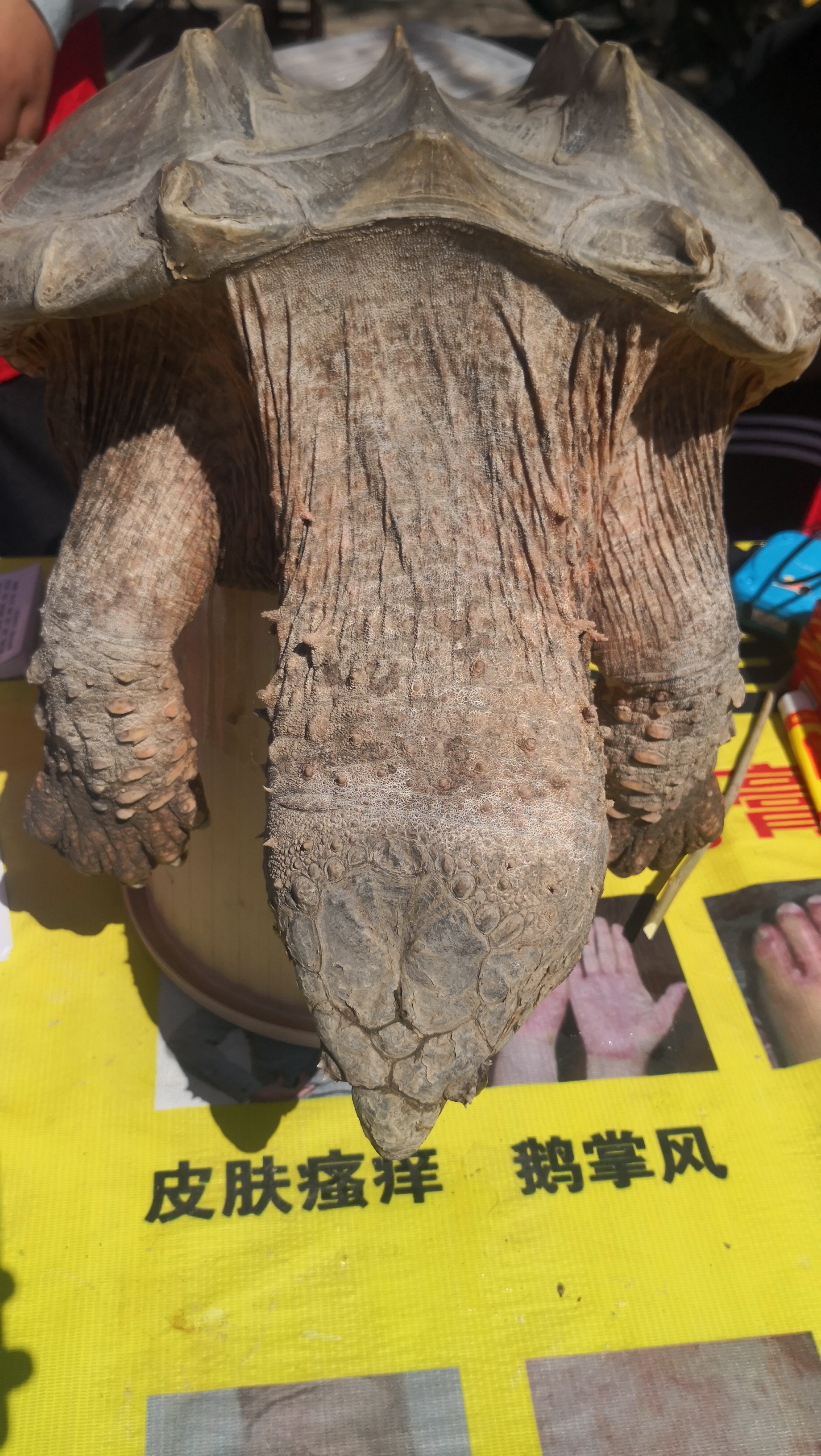 洛阳涧西区谷水会,洛阳市谷水会