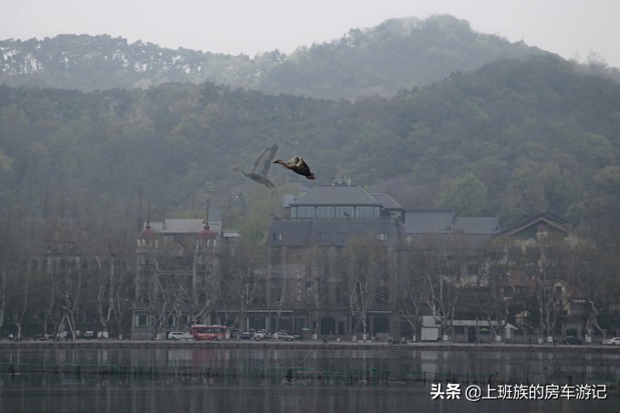 周末微旅行：秦望山麓访名校，白沙堤岸醉桃柳（第二季）