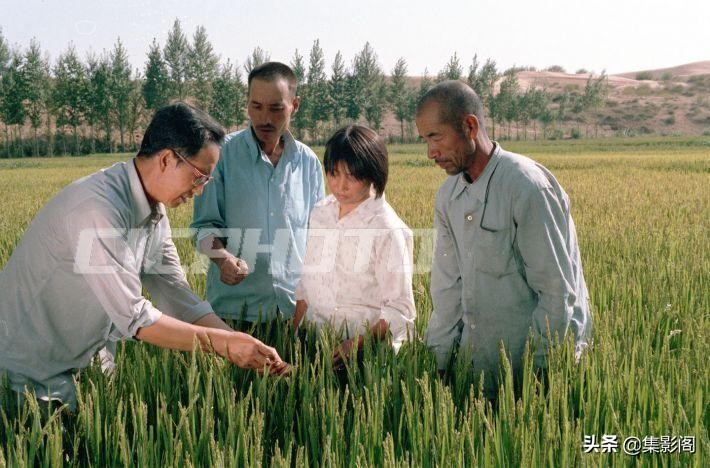 榆林市八十年代 (榆林市制革厂老照片)