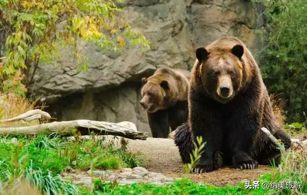 相约旅游景点大全,相约西双版纳旅游攻略