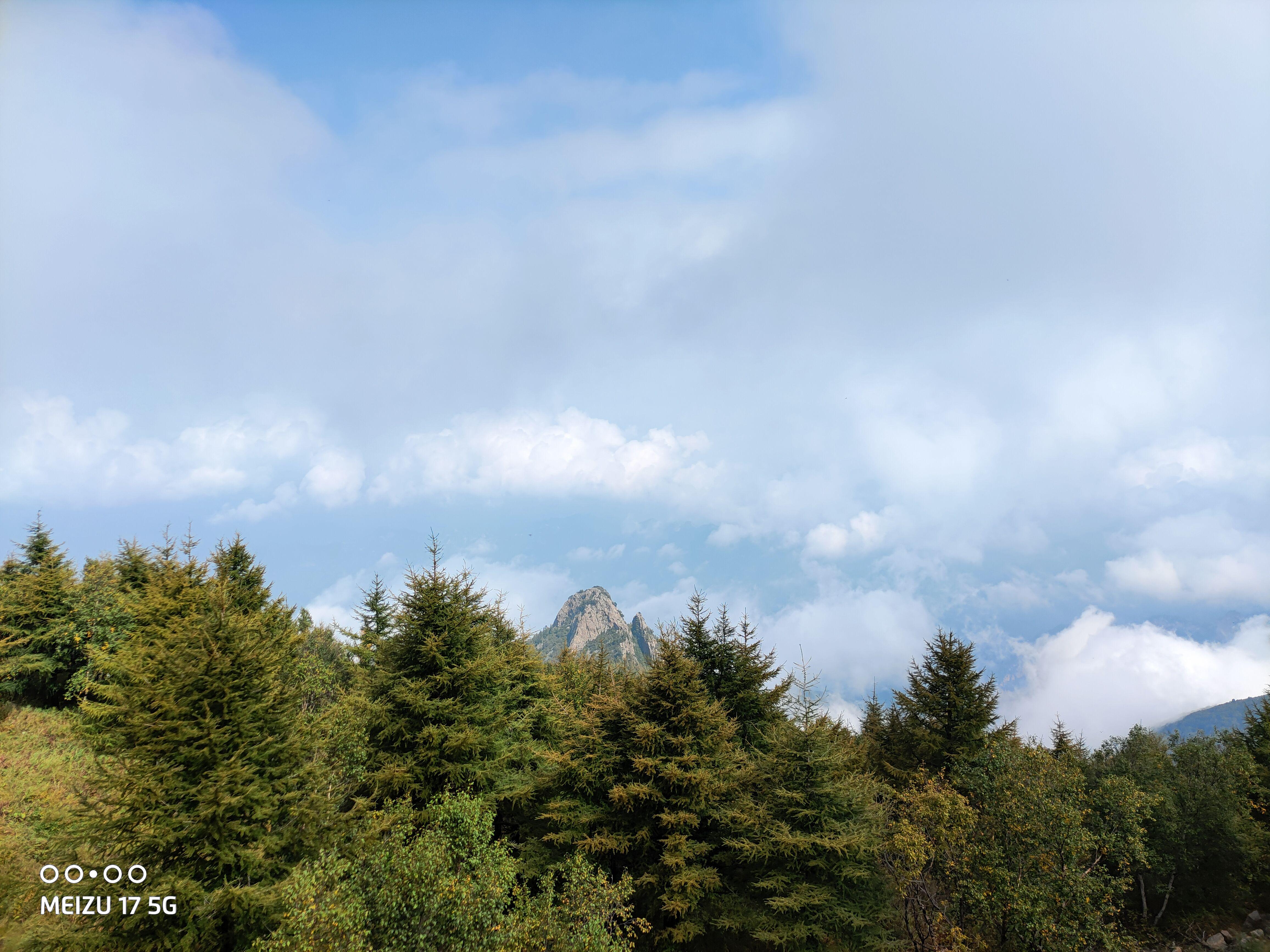 魅族17哪一款最值得入手,魅族17最值得入手的旗舰