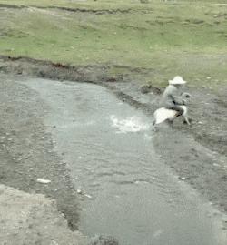 2019爆笑gif动图高清斗图,2019爆笑gif动图高清